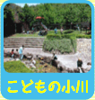 ǂ̏