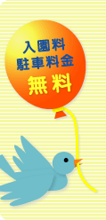 ꗿEԗ@