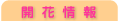 Jԏ