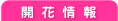 Jԏ